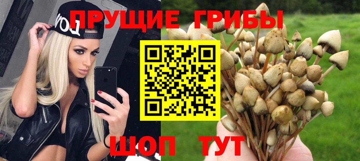 купить наркотик  Вход с VPN  Новодвинск  Псилоцибиновые грибы Magic Shrooms 