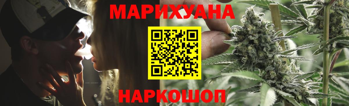 Бошки Шишки план  Конопля семена  Вход с VPN  Конопля AK-47  Новодвинск 
